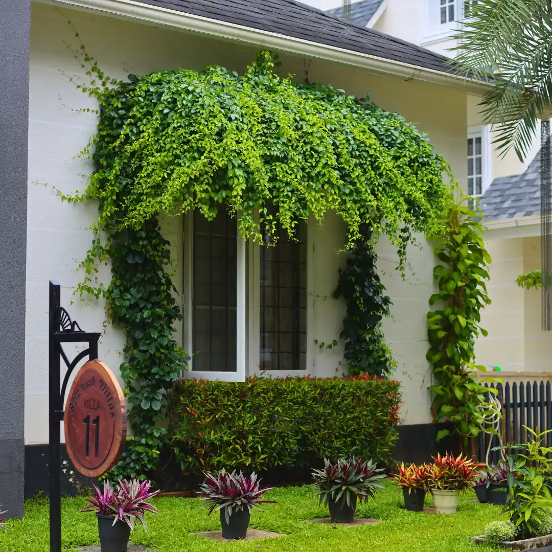 Greatnaturehomes